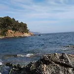 Apartamento T3 Rdc Les Pieds Dans Le Sable Résidence Les Sables D'or Valmer La Croix-Valmer